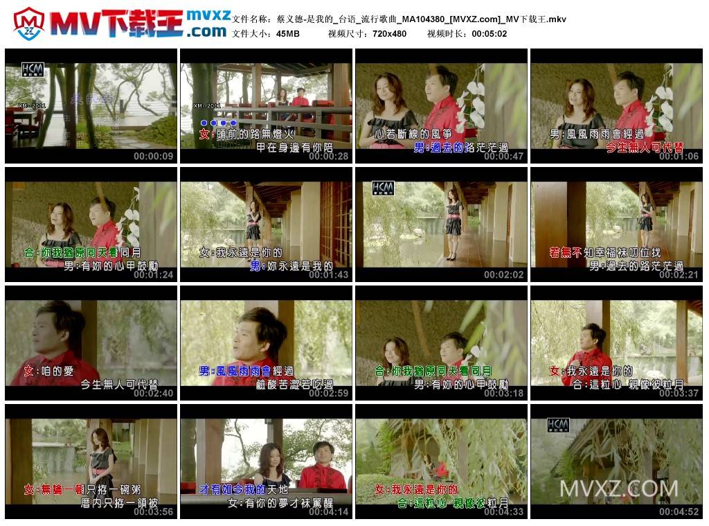 蔡义德-是我的_台语_流行歌曲_MA104380